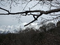nte Cagliato-20110220 032